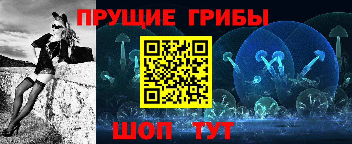 Псилоцибиновые грибы мицелий Киржач