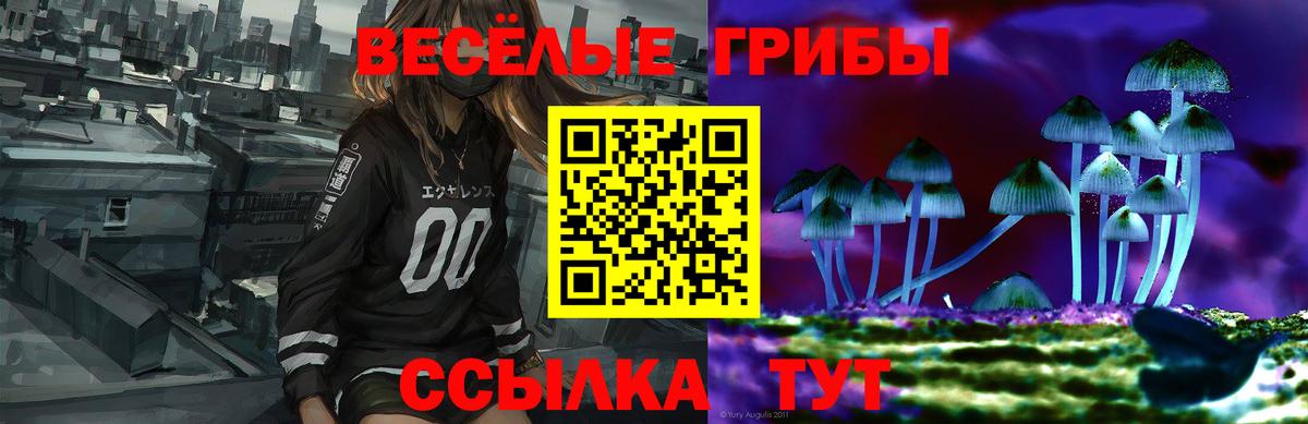 Псилоцибиновые грибы Psilocybine cubensis  Галлюциногенные грибы прущие грибы  дарнет шоп  Киржач  Вход с VPN 